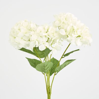 Large Hydrangea Bunch White