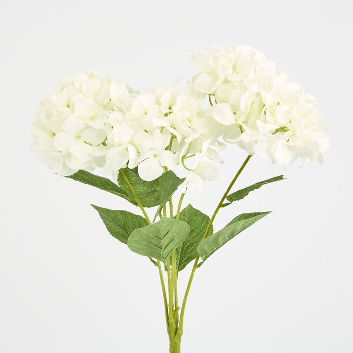 Large Hydrangea Bunch White