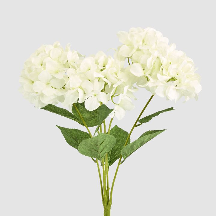 Large Hydrangea Bunch White
