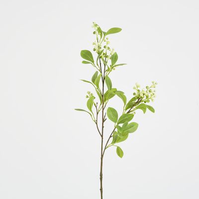 White Berry With Leaf Stem