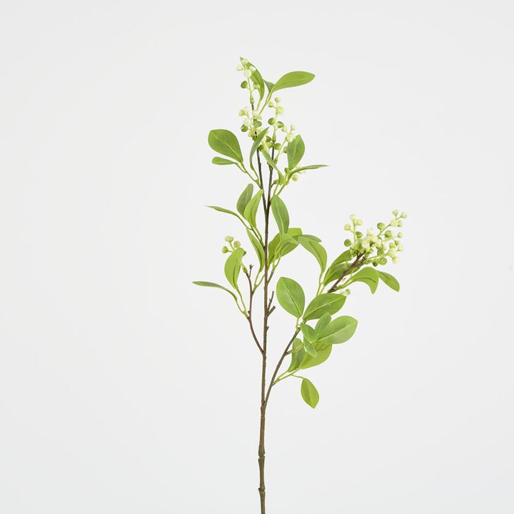 White Berry With Leaf Stem