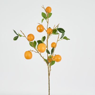 Orange Fruit Stem