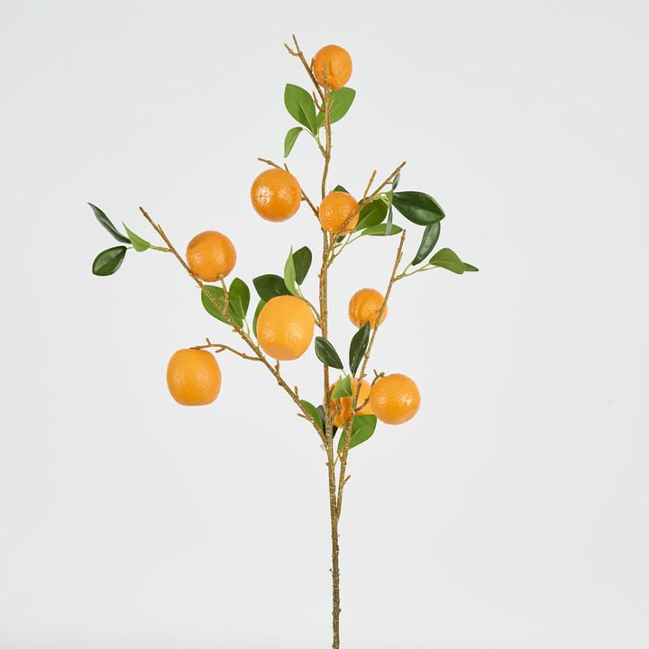 Orange Fruit Stem