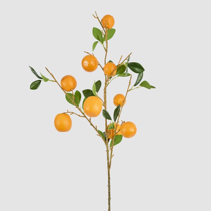 Orange Fruit Stem