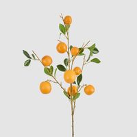 Orange Fruit Stem