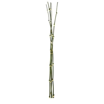 Bamboo twig Bundle 98cm Green