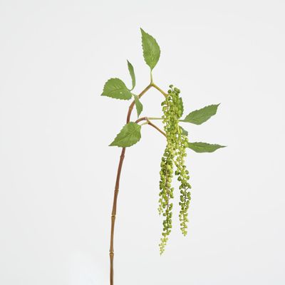 Hanging Berry Spray Green