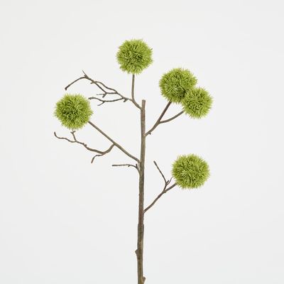 Thistle Globe Spray 80cm Green