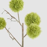 Thistle Globe Spray 80cm Green