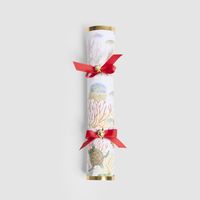 Coral Mystery Crackers &ndash; Box of 6