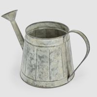Parterre Zinc Watering Can