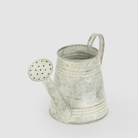 Saintes Zinc Watering Can