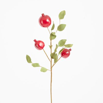 Pomegranate Stem Red