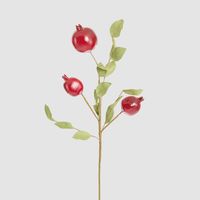 Pomegranate Stem Red