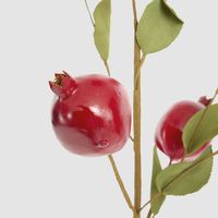Pomegranate Stem Red