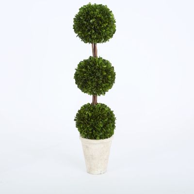 Preserved Boxwood Triple Ball Topiary