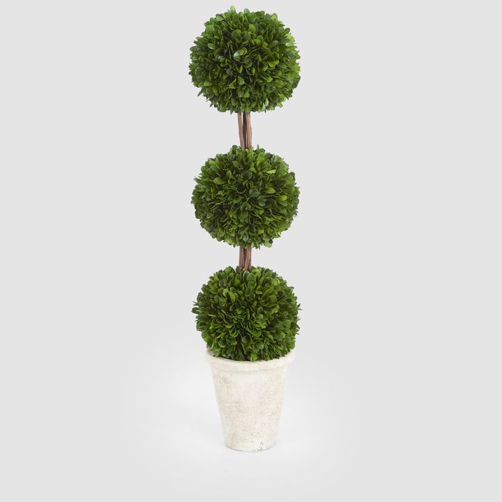 Preserved Boxwood Triple Ball Topiary