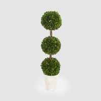 Preserved Boxwood Triple Ball Topiary