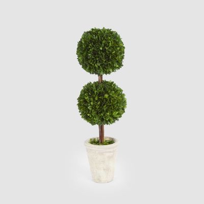 Preserved Boxwood Double Ball Topiary