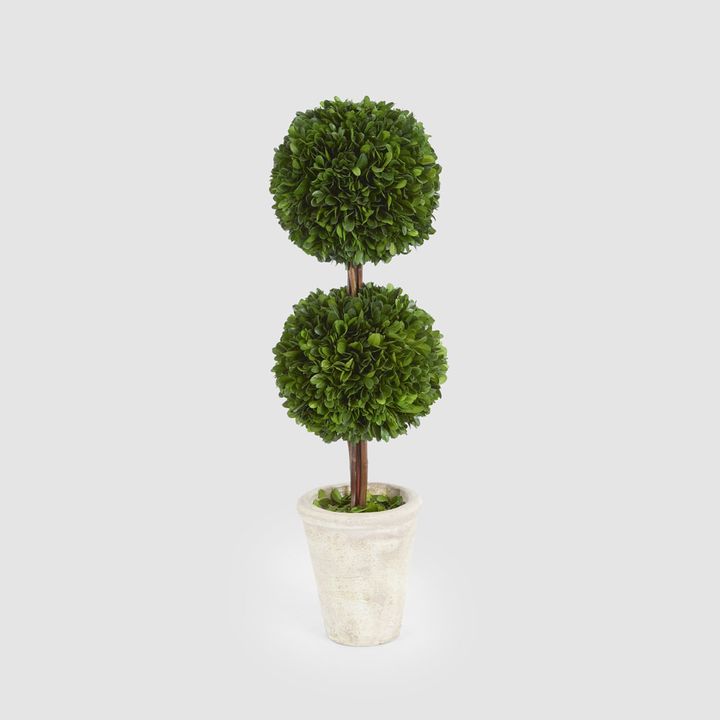 Preserved Boxwood Double Ball Topiary