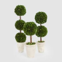Preserved Boxwood Double Ball Topiary