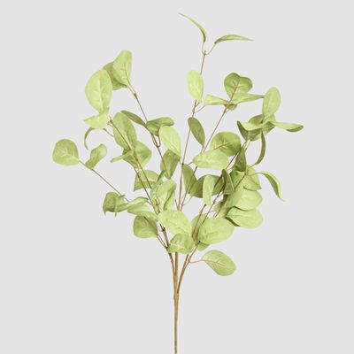 Eucalyptus Stem Green