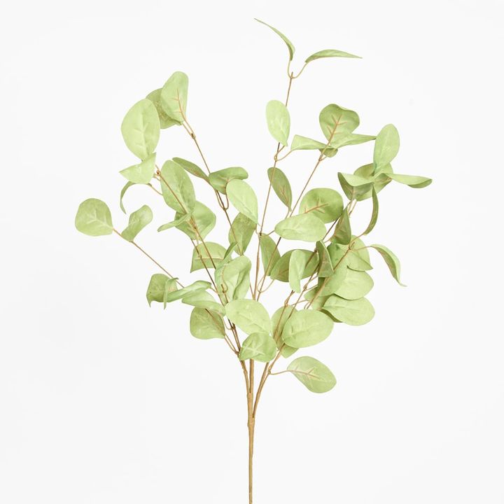 Eucalyptus Stem Green