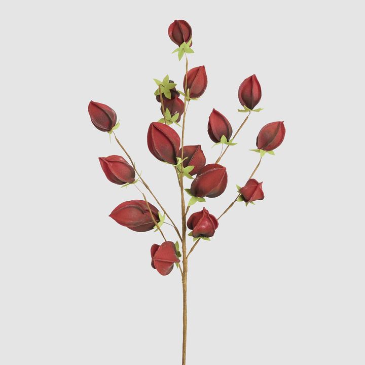Flower Stem Dark Red