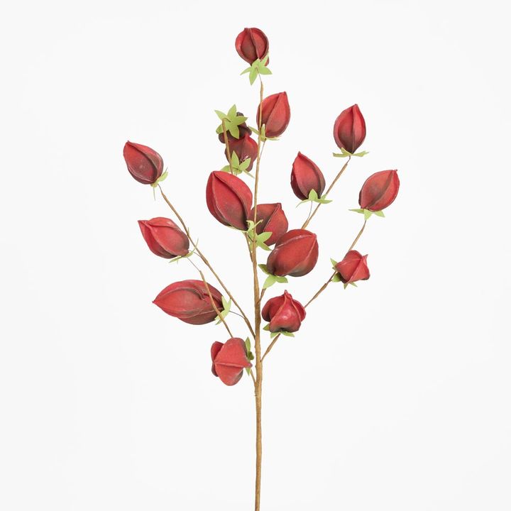 Flower Stem Dark Red