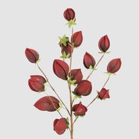 Flower Stem Dark Red
