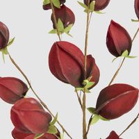 Flower Stem Dark Red