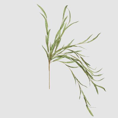 Hanging Willow Stem Green