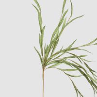 Hanging Willow Stem Green