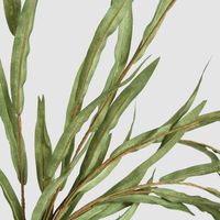 Hanging Willow Stem Green