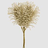 Glitter Fern Bunch Champagne