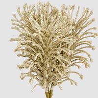 Glitter Fern Bunch Champagne