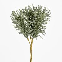 Glitter Fern Bunch Green