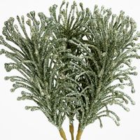 Glitter Fern Bunch Green