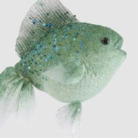 Verde Fish Decoration