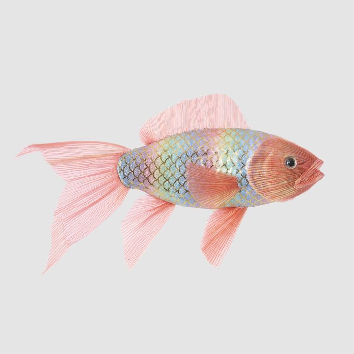 Rainbow Fish Decoration