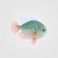 Neptune II Fish Decoration