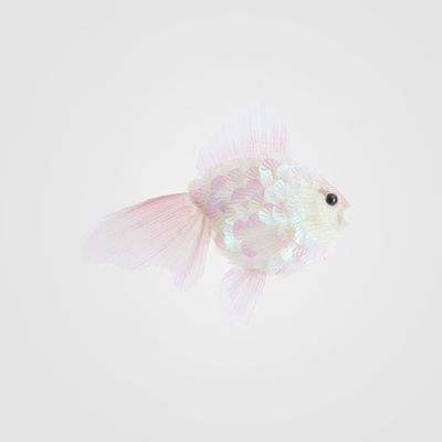 Shelley Fish Decoration