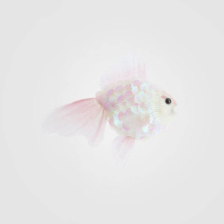 Shelley Fish Decoration