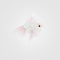 Shelley Fish Decoration