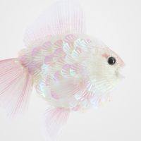 Shelley Fish Decoration