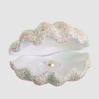 Pearl Clam Decoration