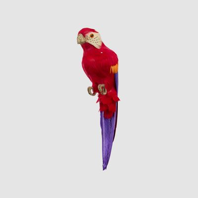 King Parrot Red