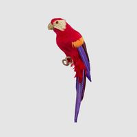 King Parrot Red