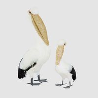 Perry The Little Pelican