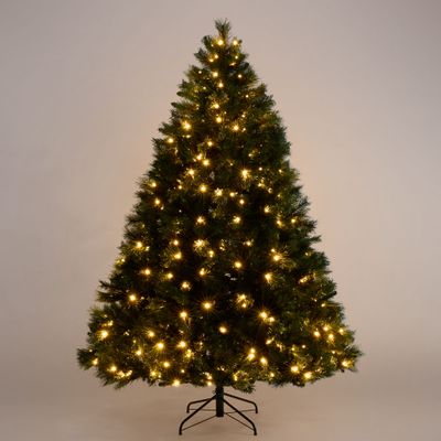 Evergreen Dewdrop Tree with 600LED 240cm